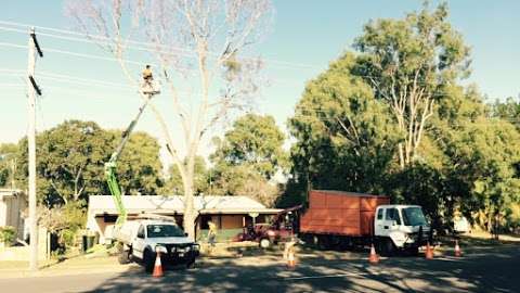 Photo: Bundy & Bargara Tree Service